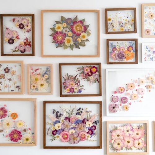 White Poppy Floral Preservation 4
