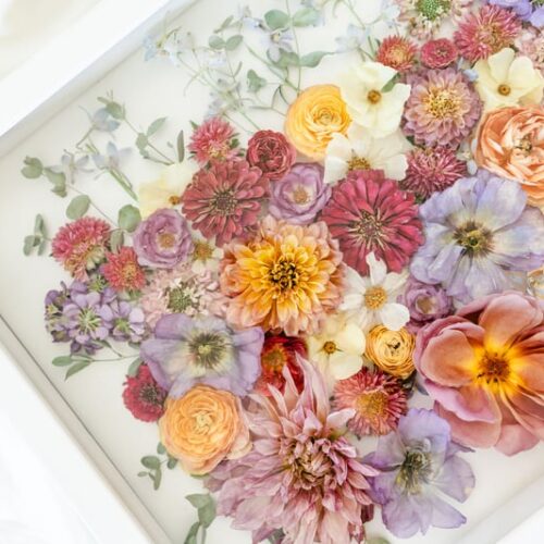 White Poppy Floral Preservation 7