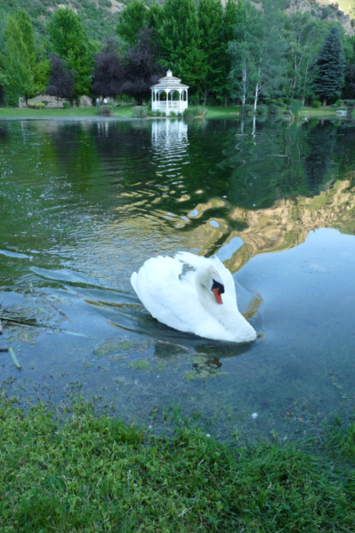 Header Image 2_(600)