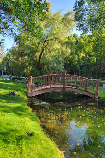 Header Image 3_(600)