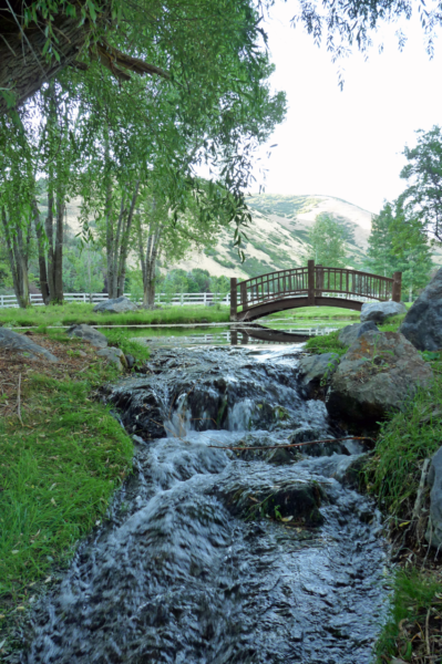 Header Image 7_(600)