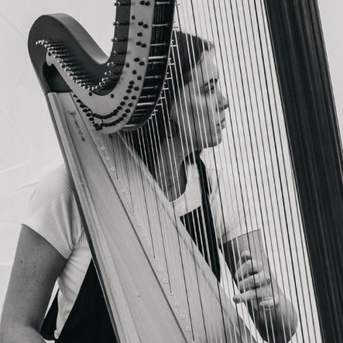 Merinda Harpist 2